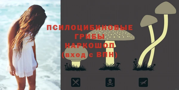 spice Белоозёрский