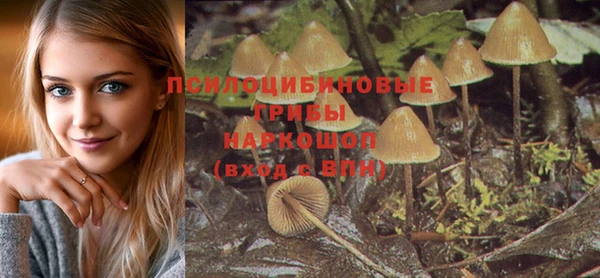 spice Белоозёрский