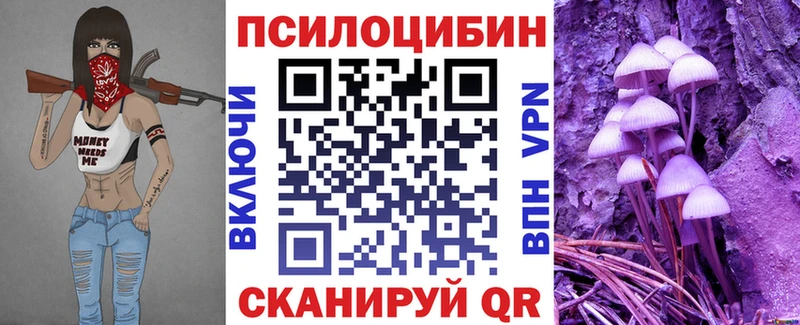 Галлюциногенные грибы Magic Shrooms  OMG как войти  Сегежа 