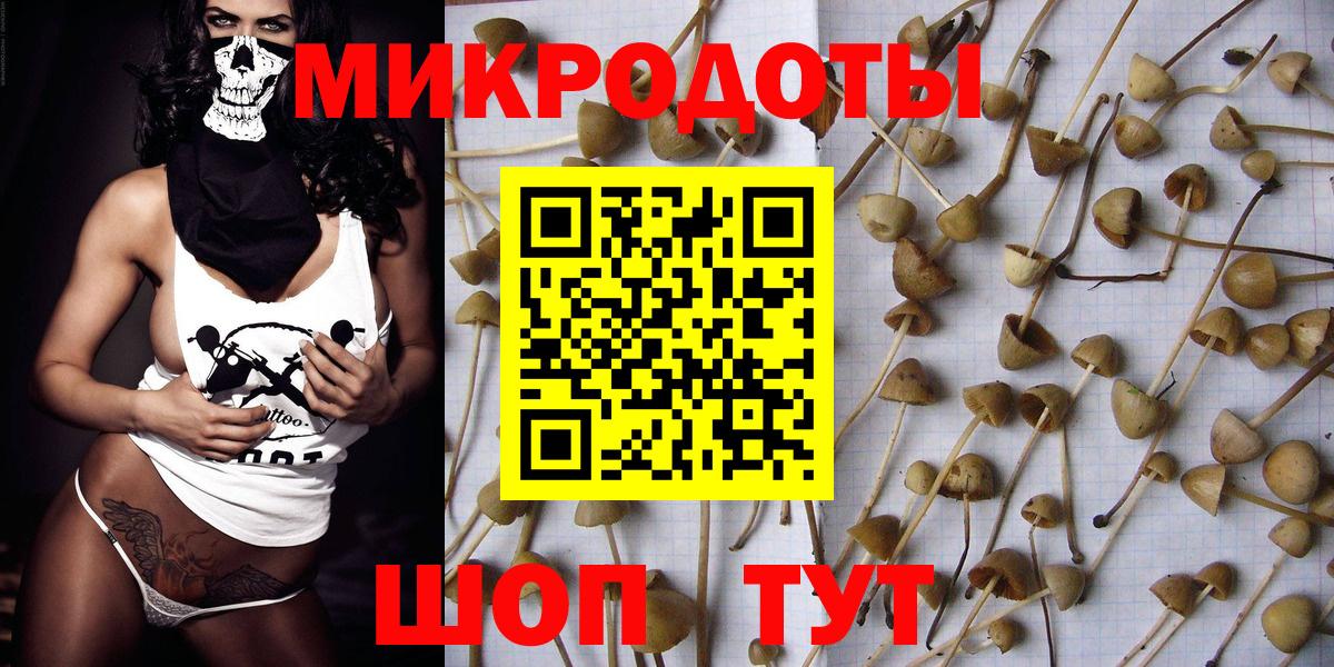 Галлюциногенные грибы MAGIC MUSHROOMS Сегежа