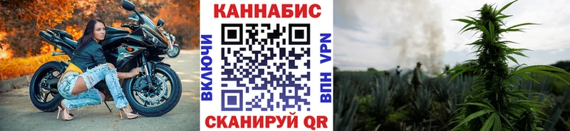 Канабис Bruce Banner  где можно купить   гидра tor  Сегежа 